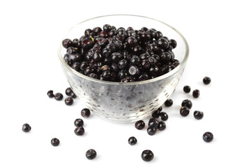 Bilberries