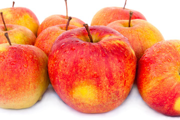 Apples Macspur
