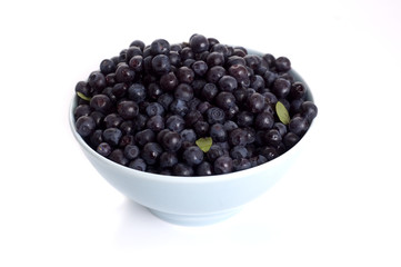 blueberry isolated on white background