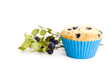 blueberry muffins