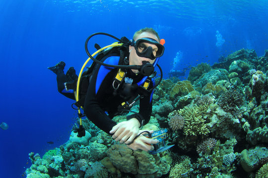 Scuba Diver swims over coral reef