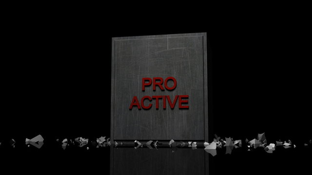 Pro Active