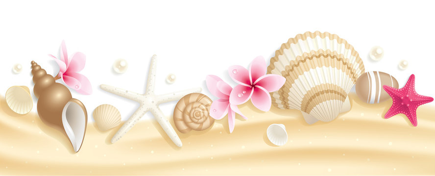 Seashell Border Images – Browse 27,265 Stock Photos, Vectors, and Video |  Adobe Stock