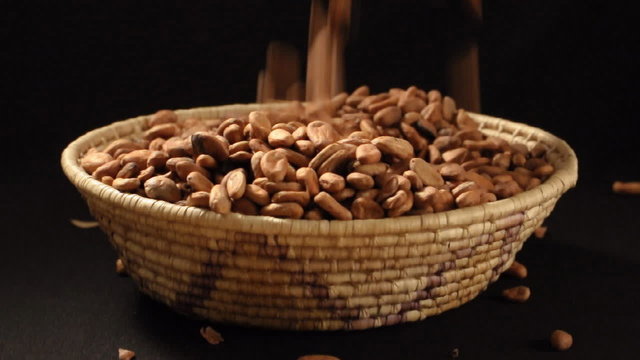 Raw cocoa beans poured into basket