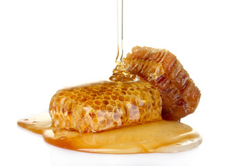 beautiful combs and honey isolated on white