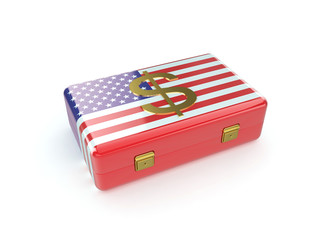 USA case with dollar sign