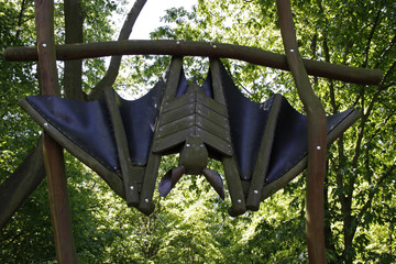 Obraz premium Baumkronenpfad im Nationalpark Hainich