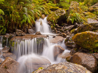 Fototapeta na wymiar rainforest waterfall