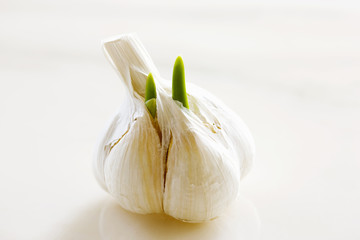 芽の出たニンニク