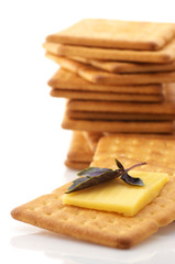 Crackers, cheese and basil