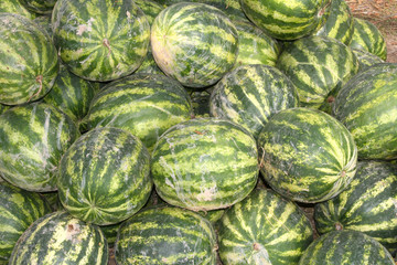 watermelons