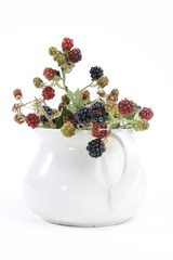 Brombeeren