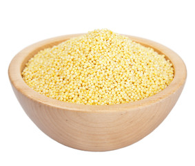 raw millet in bowl isolated