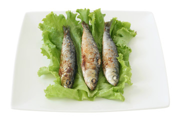 Fried sardines on lettuce