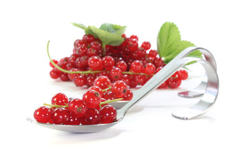 Johannisbeeren