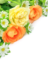 rose and white flower