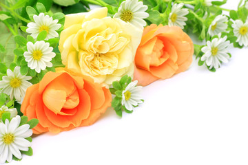 rose and white flower