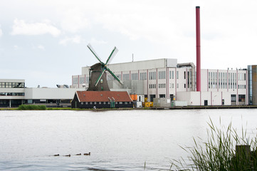 Fototapeta premium dutch windmill