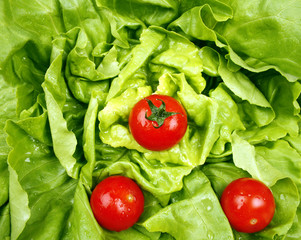 Tomatoes and lettuce