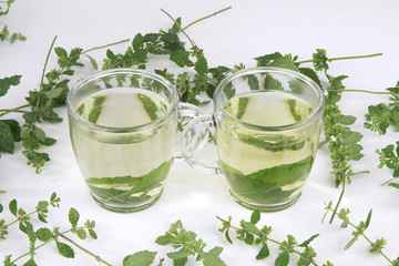 Tee von Zitronenmelisse