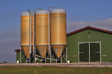 Landwirtschaft