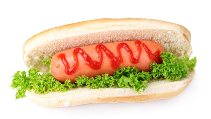 tasty hot dog isolated on white