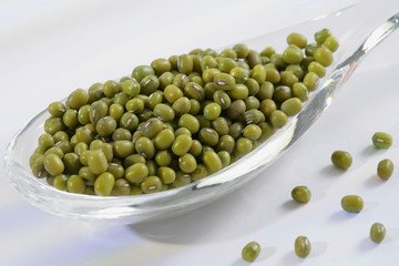 Soja vert en grains