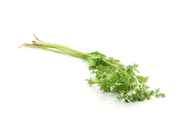 parsley isolated in white background