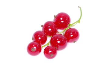 red currant