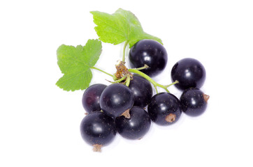 currant