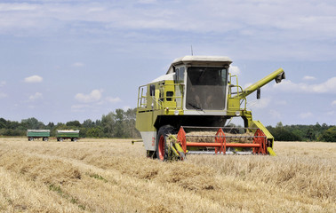 Obraz premium Mähdrescher Getreidefeld