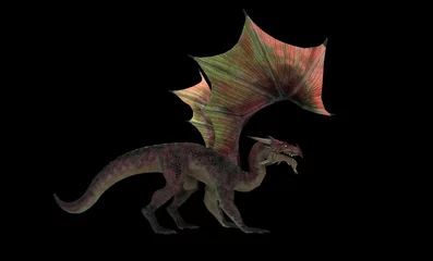 Photo sur Plexiglas Dragons Dragon Rouge