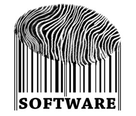 Software on barcode