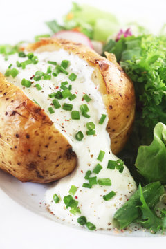 Jacket Potato with Sour Cream