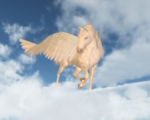 Pegasus Looking Down Through Clouds