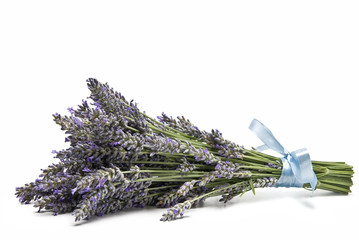 Lavender.