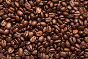 Fototapeta premium Ziarno kawy