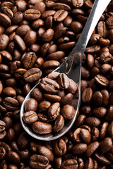 Coffee Bean