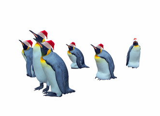 Isolated emperor penguins with clipping path - 34170160
