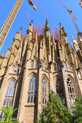 Temple Sagrada Familia.Barcelona.