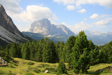 Fototapeta na wymiar Il Sassolungo dall'alpe di Cisles (Val Gardena)