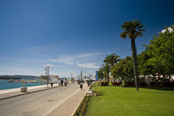Naklejka premium Palm trees on Biograd na moru waterfront