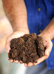 hands with soil