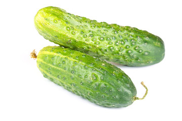 two cucumbers isolated