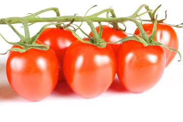 cherry tomatoes isolated