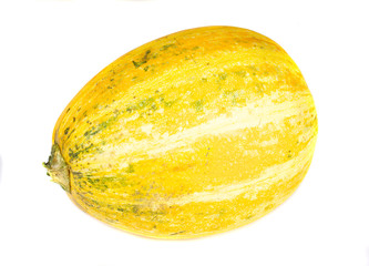 Pumpkin isolated on white