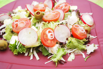 Frischer Salat