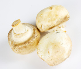 White field mushrooms isolated