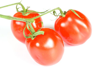 cherry tomatoes isolated