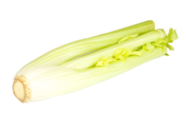 Fresh green celery vegetable